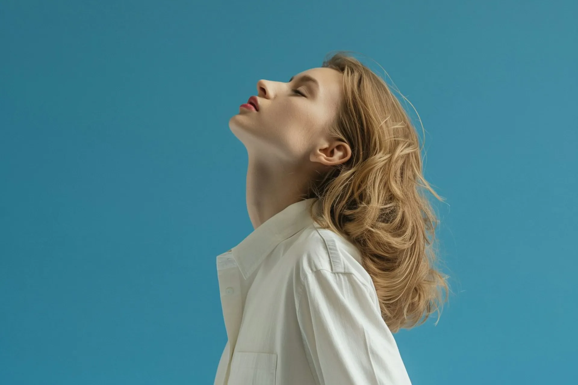 Template Image - AlphaClick Modern Digital Agency